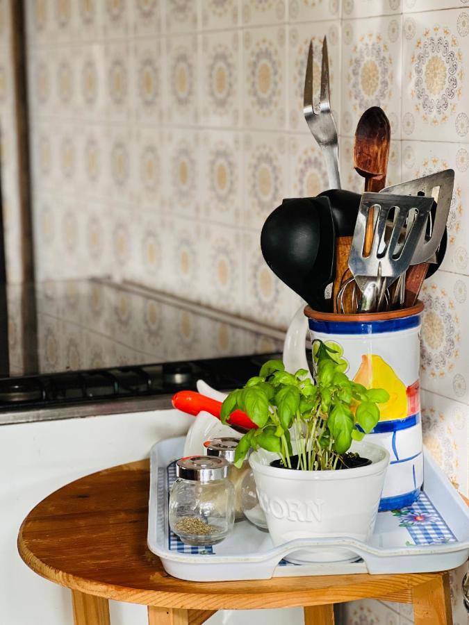 Nogueira Country House Guest House Fundão Екстериор снимка