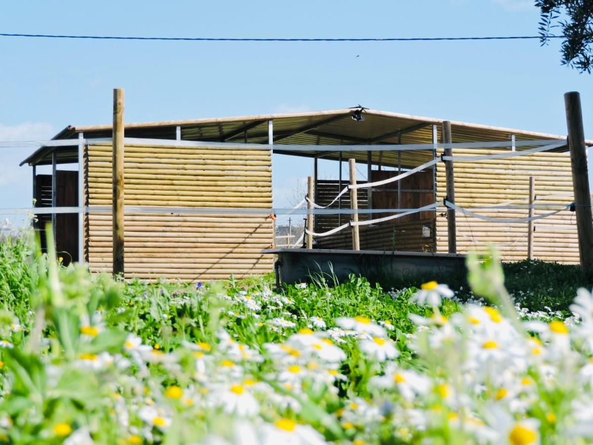Nogueira Country House Guest House Fundão Екстериор снимка