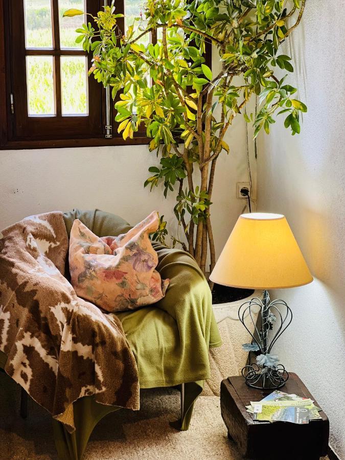Nogueira Country House Guest House Fundão Екстериор снимка